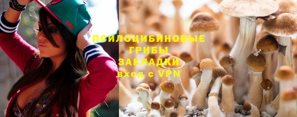дурь Алексин