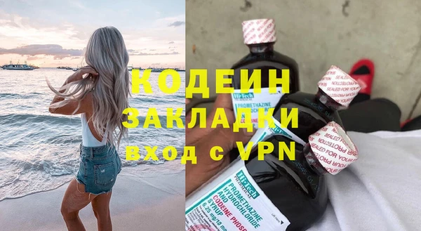 дурь Алексин