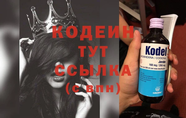 дурь Алексин