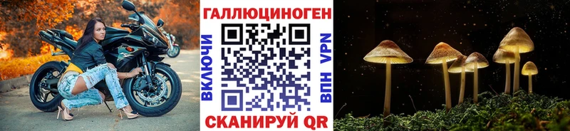 дарнет шоп  Макушино  Псилоцибиновые грибы ЛСД 